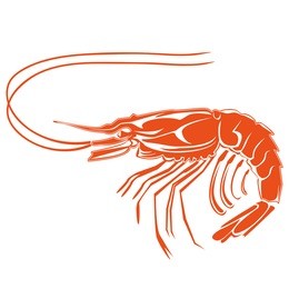 vector illustration of shrimp. vector illustration can be used for creating logo and emblem for fishing clubs, prints, web and other crafts.