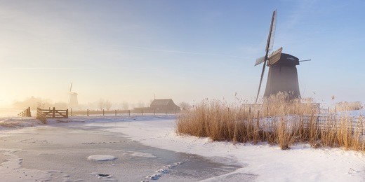 traditional dutch windmills on a beautiful frosty and foggy morning.