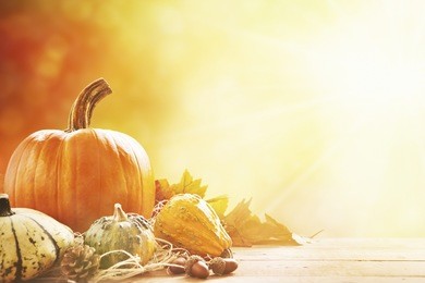 a rustic autumn still life with pumpkins and golden leaves on a wooden surface. bright sunlight coming in from behind.