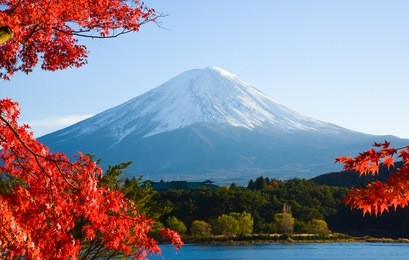 mt.fuji in autumn at lake kawaguchiko in japan. 