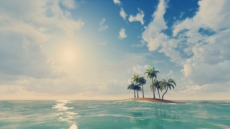 small tropical island with a few palm trees at daytime