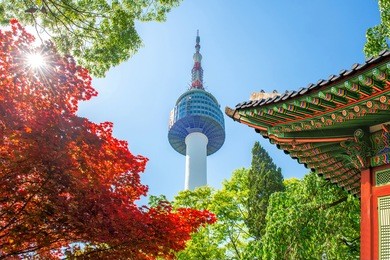 seoul tower with gyeongbokgung roof and red autumn maple leaves at namsan mountain in south korea.
