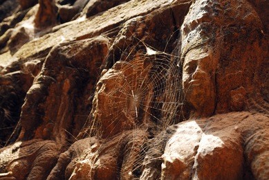 terrace of the leper king, cambodia