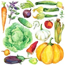 assorted raw organic vegetables. watercolor illustration. watercolor vegetables and herbs background