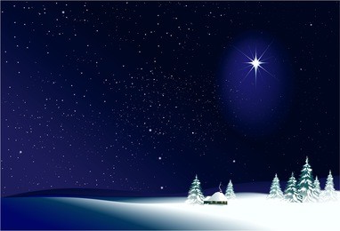 winter rural  night landscape