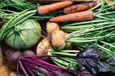 closeup of freshly harvested vegetables (turnips, beetroots, carrots, round marrow), top view