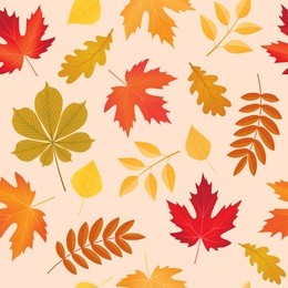 seamless background with autumn colored leaves