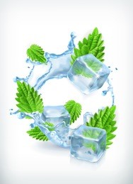 mint with ice cubes and water splash, vector icon