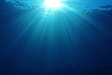 abstract underwater background in sea