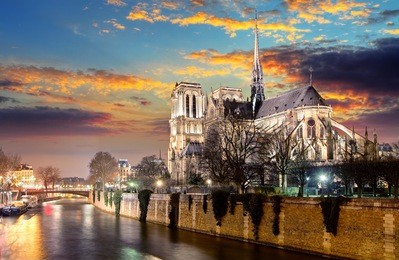 island cite with cathedral notre dame de paris 
