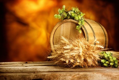 beer, brewery background. fresh green hop and wheat with wooden barrel on vintage table. ingredients for brewing. retro style. beer brewing traditions. copy space for your text