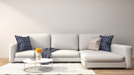 interior with sofa. 3d illustration