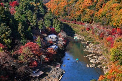 japan, kyoto, arashiyama, colored leaves