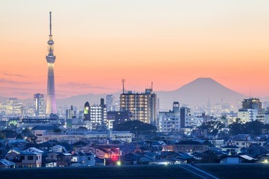 tokyo city view  and mountain fuji