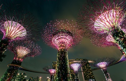 gardens by the bay, super tree grove in singapore