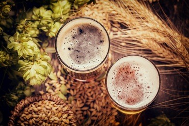 assorted beers in a flight ready for tasting,vintage filter