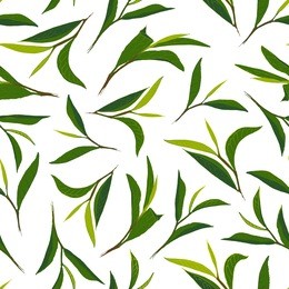 pure tea. botanical style seamless pattern