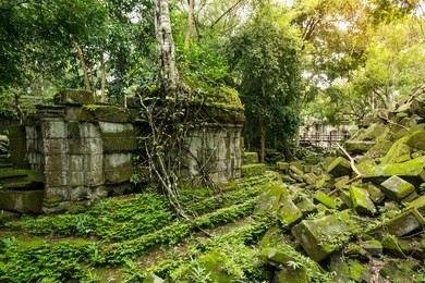 beng mealea temple, ruins in the middle of jungle, siem reap, cambodia