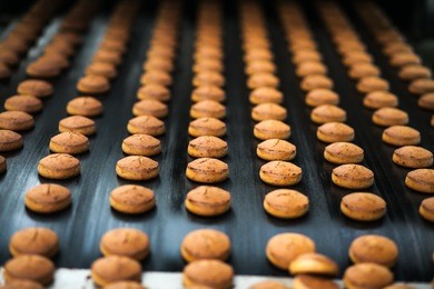 honey-cake  on the production line at the bakery 