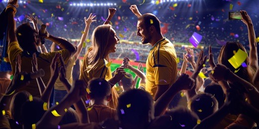 fans on stadium game panorama view