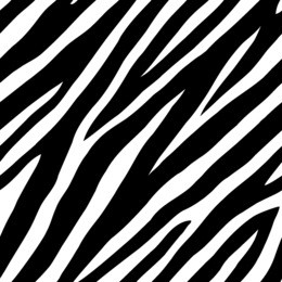 zebra skin seamless vector background
