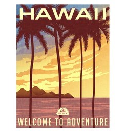 retro style travel poster or sticker. united states, hawaii sunset and palm trees.