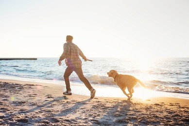 young caucasian male playing with labrador on beach during sunrise or sunset. man and dog having fun on seaside
