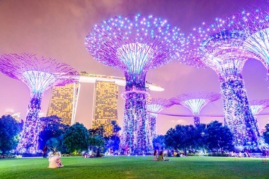 supertree grove at garden by the bay in singapore