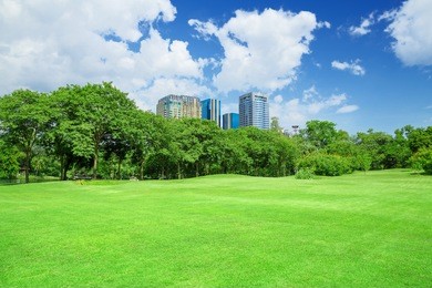 green grass field in big city park
