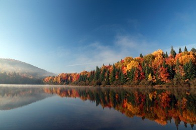 autumn forest reflected in water. colorful autumn morning in the mountains. colourful autumn morning in mountain lake. colorful autumn landscape. parc national mont tremblant. quebec. autumn in canada
