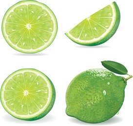collection fresh lime and slice, isolated on white background.vector