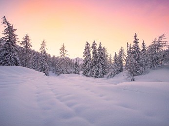 beautiful winter landscape with snow covered trees -slovenia