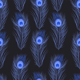 seamless pattern of blue peacock feathers on black background. vector bright  decorative pattern with drawn colorful print.