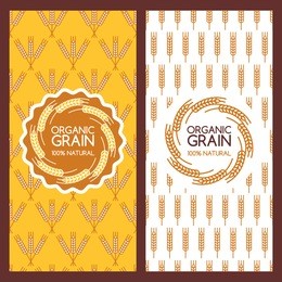 set of vector backgrounds for banner, label, package template. golden wheat ears seamless pattern and logo design. concept for organic products, harvest, grain, flour, bakery, healthy food.