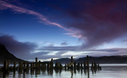 stumps in lochness