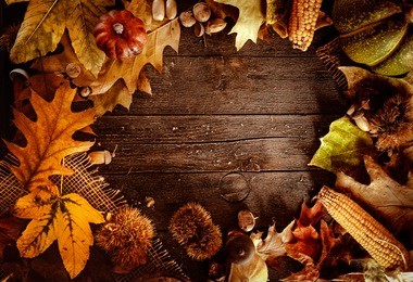 thanksgiving dinner. autumn fruit on wood with copyspace. thanksgiving autumn background