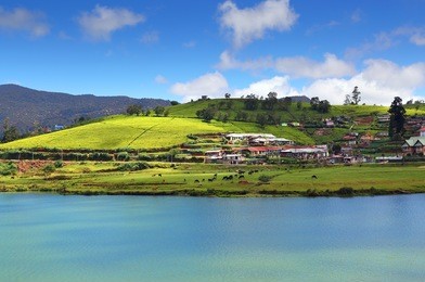 landscape with gregory lake in nuwara eliya - sri lanka