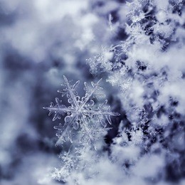 digital composite of snowflakes and frost.
