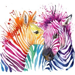 funny zebra  t-shirt graphics, rainbow zebra illustration with splash watercolor textured background. illustration watercolor funny zebra fashion print, poster for textiles, fashion design