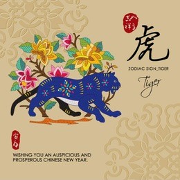 12 chinese zodiac signs of tiger with chinese calligraphy text and the translation. auspicious chinese seal (top) good luck and happiness to you and (bottom) tiger.