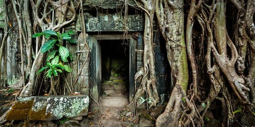 travel cambodia concept background - panorama of ancient stone door and tree roots, ta prohm temple ruins, angkor, cambodia