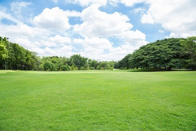 green grass field in big city park