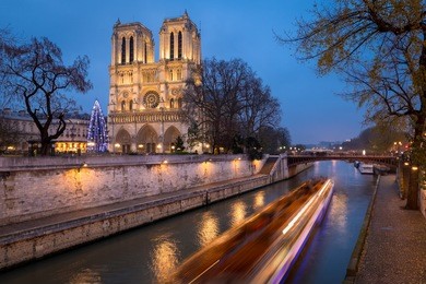 christmas tree at notre dame de paris cathedral illuminated in early evening on ile de la cite with passing tour boat on the seine river, paris, france.