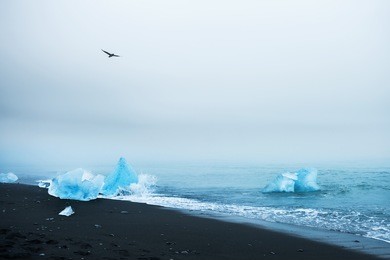 beautiful blue icebergs on the beach with black volcanic sand. beautiful coast of atlantic ocean, southern iceland