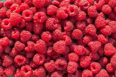 lot ripe red raspberries as background