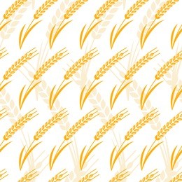 vector seamless pattern with golden ripe ear of wheat. abstract design concept for organic products, grain, harvest, bakery, healthy food. farming and agriculture background.