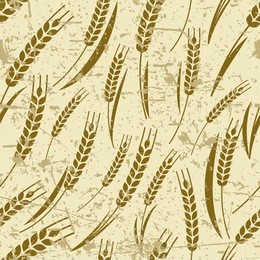 vector seamless old grunge pattern with ripe ear of wheat. abstract concept for organic products, harvest, grain, bakery, healthy food. agriculture and farming background.
