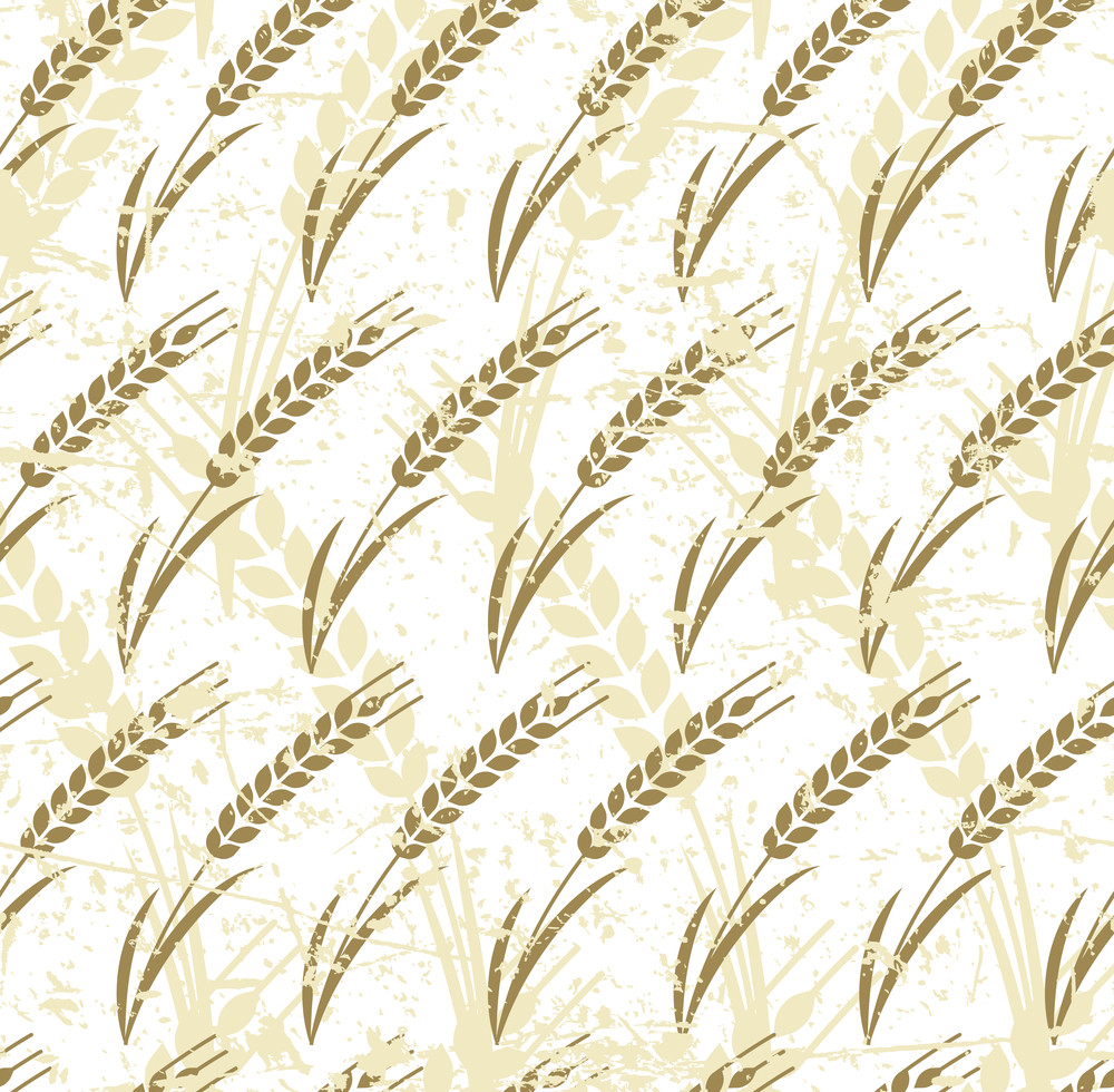 vector seamless pattern with ripe ear of wheat. abstract concept for organic products, harvest, grain, bakery, healthy food. agriculture and farming old grunge background.