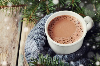 cup of hot cocoa or hot chocolate on knitted background with fir tree and snow effect, traditional beverage for winter time