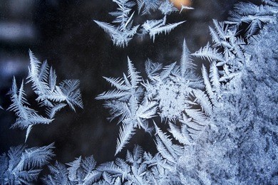 frosted window 